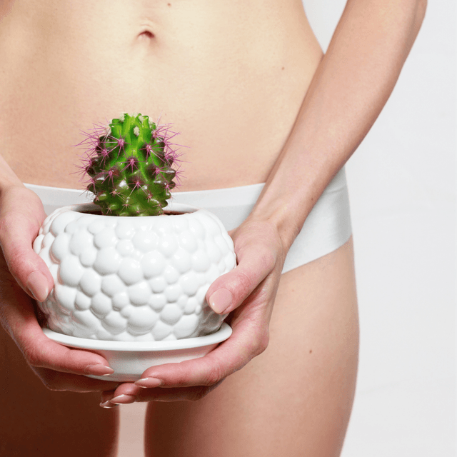 Smooth Skin Summer Bikini at Flawless by Wellness in Sullivan, IN